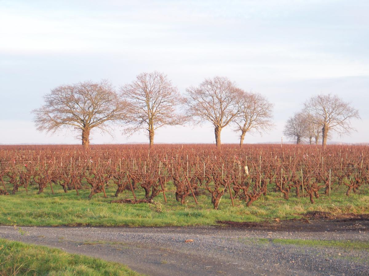 La Genoise Bed and Breakfast Tillieres Exteriör bild